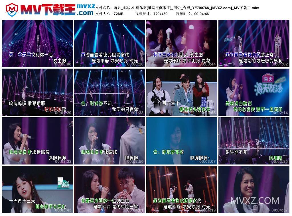 蒋凡_赵骏-你啊你啊(谁是宝藏歌手)_国语_合唱_YE700768